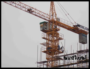 你知道塔吊是怎么上升的嗎 獨(dú)家報(bào)道