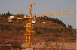 塔吊市場供需動態 銷售、求購與貿易信息綜合分析