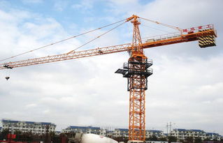 李滄塔機(jī)維修專家 程信來供應(yīng)塔吊維修服務(wù)